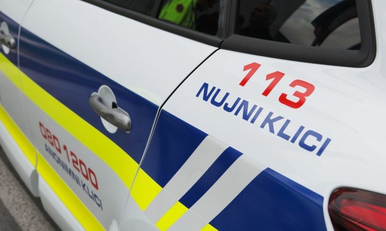 Ukraden doprsni kip Viktorja Volčjaka pred bolnico Franja