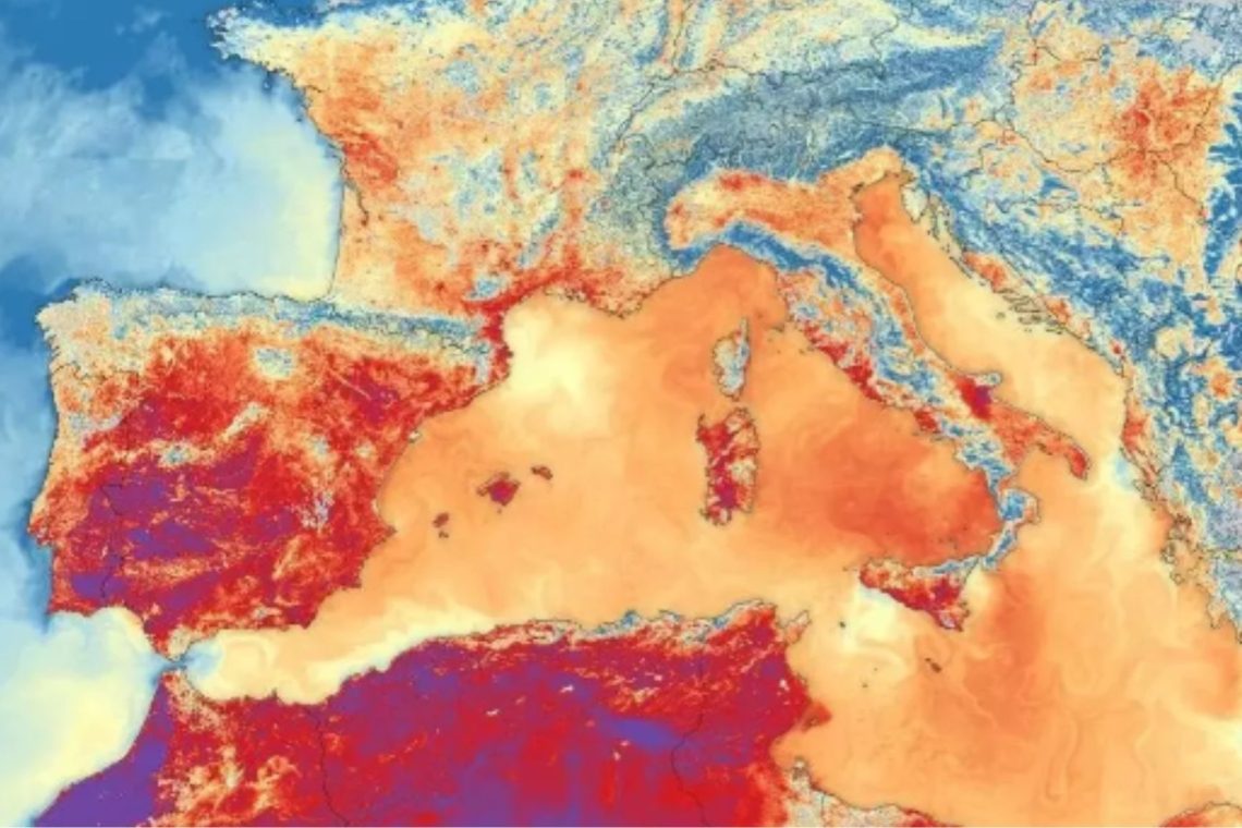 Žirafe vse bliže izumrtju, a se nekatere podvrste že počasi krepijo