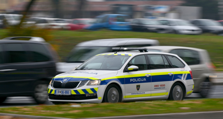 Več posredovanj policije v Posavju in Beli krajini