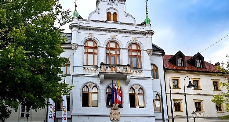 V Novem mestu zavračajo očitke o prepovedi romskega shoda