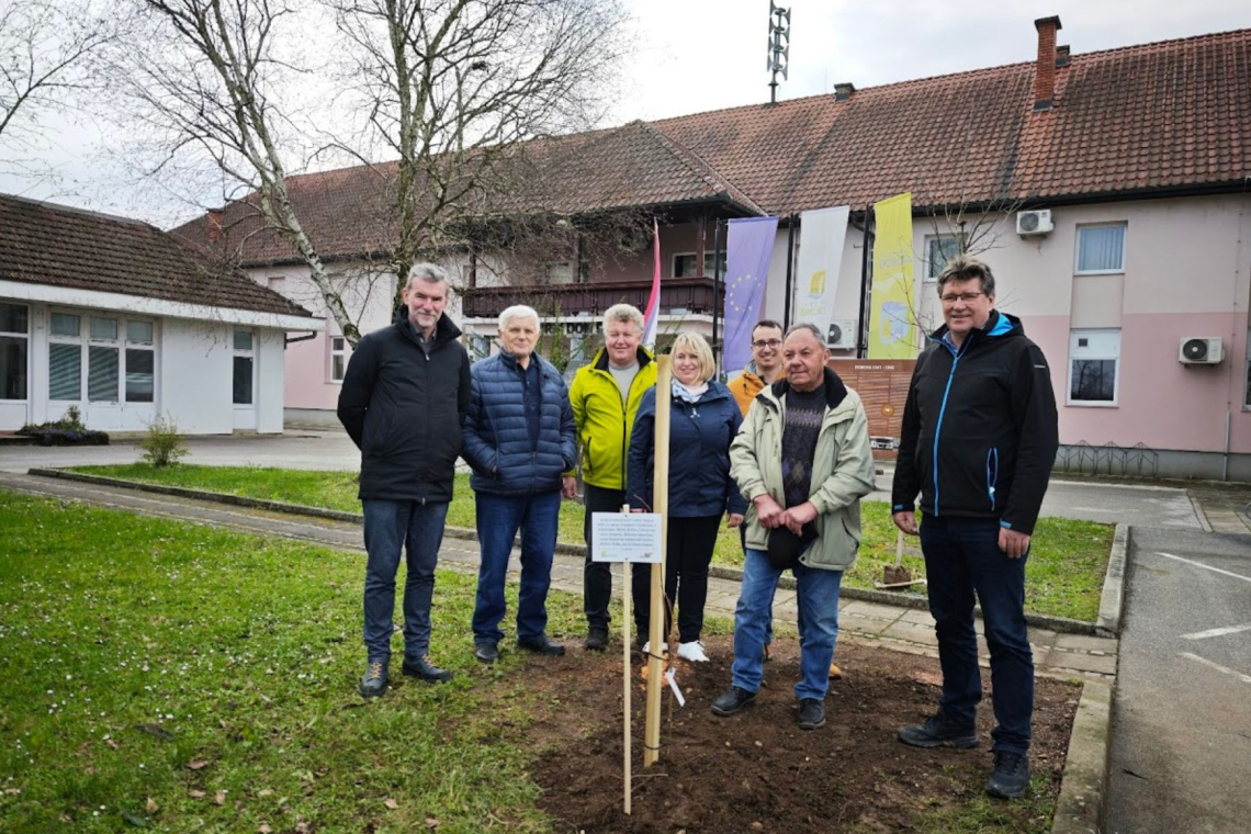 V Brežicah posadili tri lipe za čebele